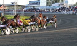 Boden-travet